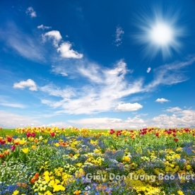 Wallpaper 3D Natural Scenery Flower Field FLLS 1501-21