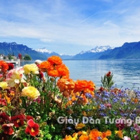 Wallpaper 3D Natural Scenery Flower Field FLLS 1501-24