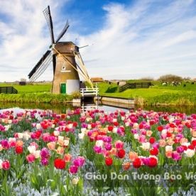 Wallpaper 3D Natural Scenery Flower Field FLLS 1501-25