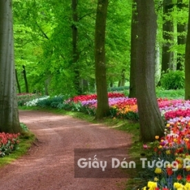 Wallpaper 3D Natural Scenery Flower Field FLLS 1501-28