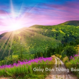 Wallpaper 3D Natural Scenery Flower Field FLLS 1501-5