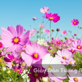 Wallpaper 3D Natural Scenery Flower Field FLLS 1502-11