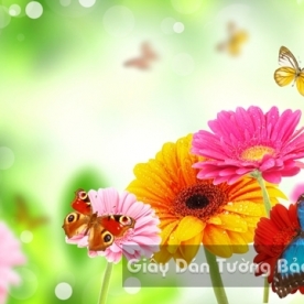 Wallpaper 3D Natural Scenery Flower Field FLLS 1502-20