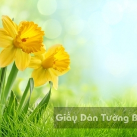 Wallpaper 3D Natural Scenery Flower Field FLLS 1502-30