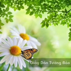 Wallpaper 3D Natural Scenery Flower Field FLLS 1502-31