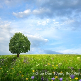 Wallpaper 3D Natural Scenery Flower Field FLLS 1502-36
