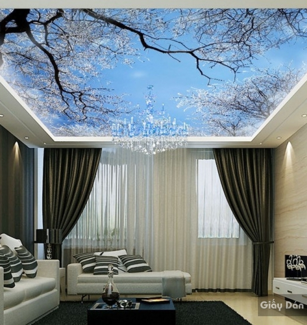 C028 ceiling paintings