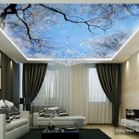 C028 ceiling paintings