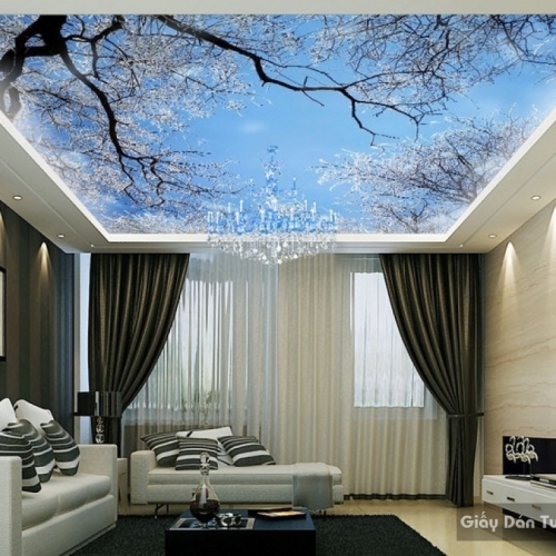 C028 ceiling paintings