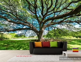3d wall paintings of natural landscape tr204