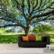 3d wall paintings of natural landscape tr204