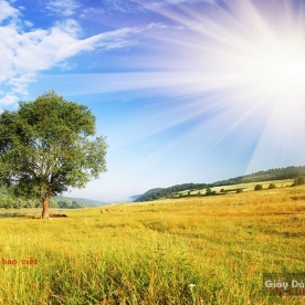 Wall paintings of natural scenery Fi047