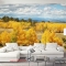 Wall paintings of natural scenery Fi068