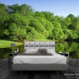 Wallpaper of natural landscapes M013