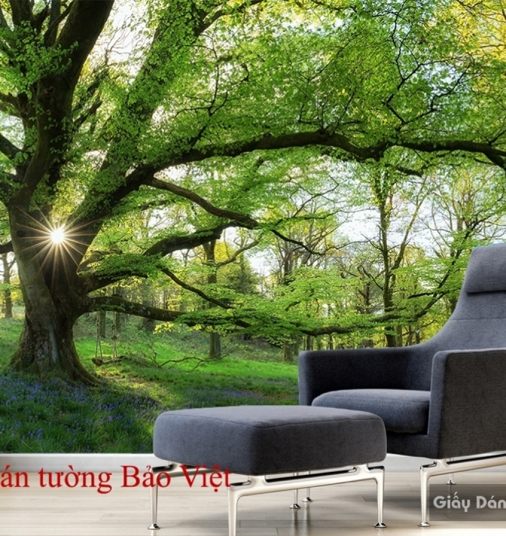 Wallpaper of natural landscapes Tr149