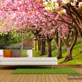 Wallpaper of natural landscapes Tr158