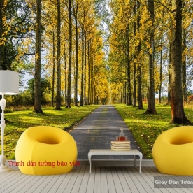 Wallpaper of natural landscapes Tr186