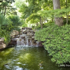 Wallpaper of natural landscapes Tr187