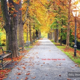 Wallpaper of natural landscapes Tr193