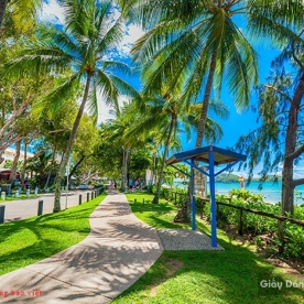 Wallpaper of natural landscapes Tr200