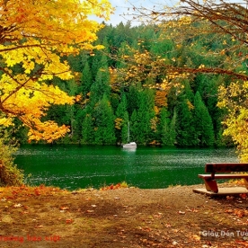 Wallpaper of natural landscapes Tr206