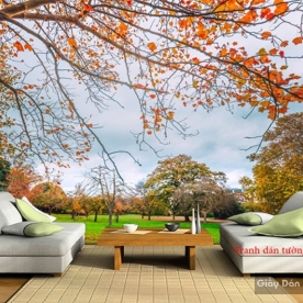 Wallpaper of natural landscapes Tr210