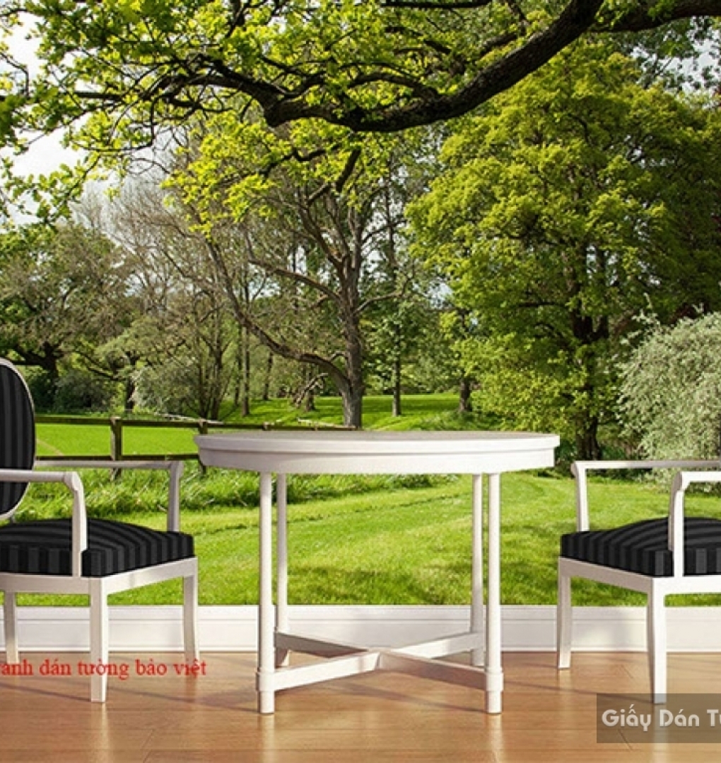 Wallpaper of natural landscapes Tr215