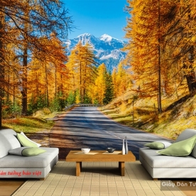 Wallpaper of natural landscapes Tr225