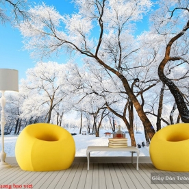 Wallpaper of natural landscapes Tr262