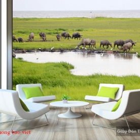 Wallpaper of Vietnam's natural scenery Fi099