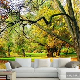 Natural wall paintings Tr001