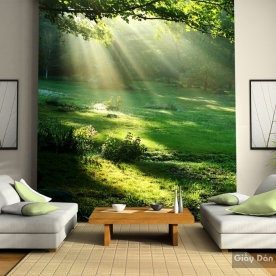 Natural wall paintings Tr003