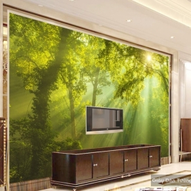 Natural wall paintings Tr005