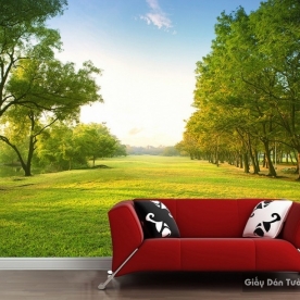 Natural wall paintings Tr007