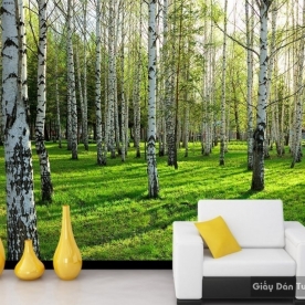 Natural wall paintings Tr009