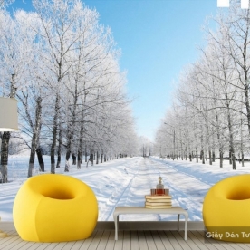 Natural wall paintings Tr010