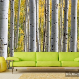 Natural wall paintings Tr012