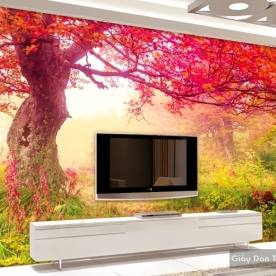 Natural wall paintings Tr015