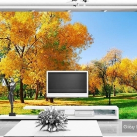 Natural wall paintings Tr016