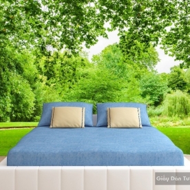 Natural wall paintings Tr020