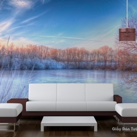 Natural wall paintings Tr022