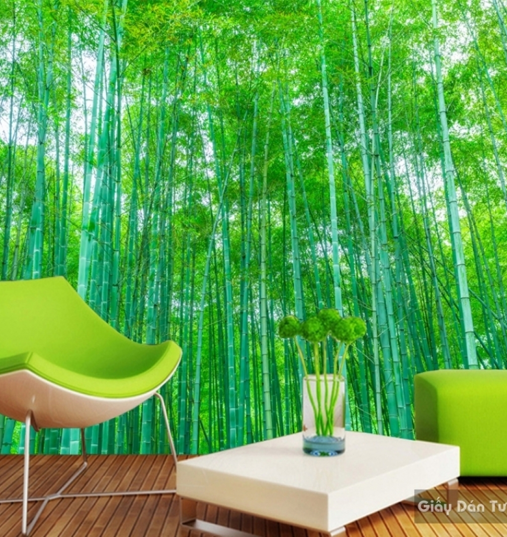 Natural wall paintings Tr028