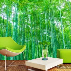 Natural wall paintings Tr028