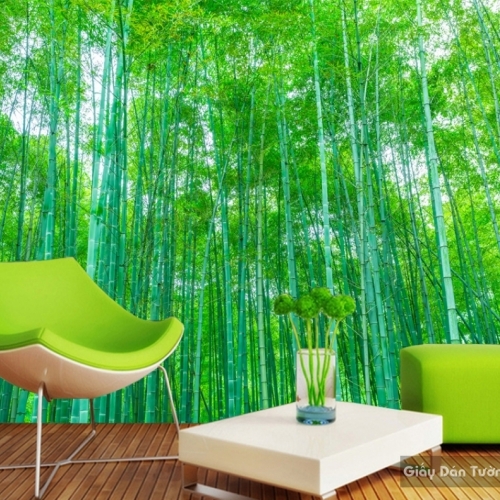 Natural wall paintings Tr028