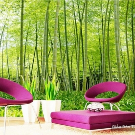 Natural wall paintings Tr030