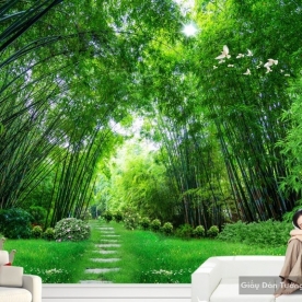 Natural wall paintings Tr032