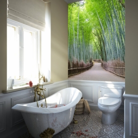 Natural wall paintings Tr040