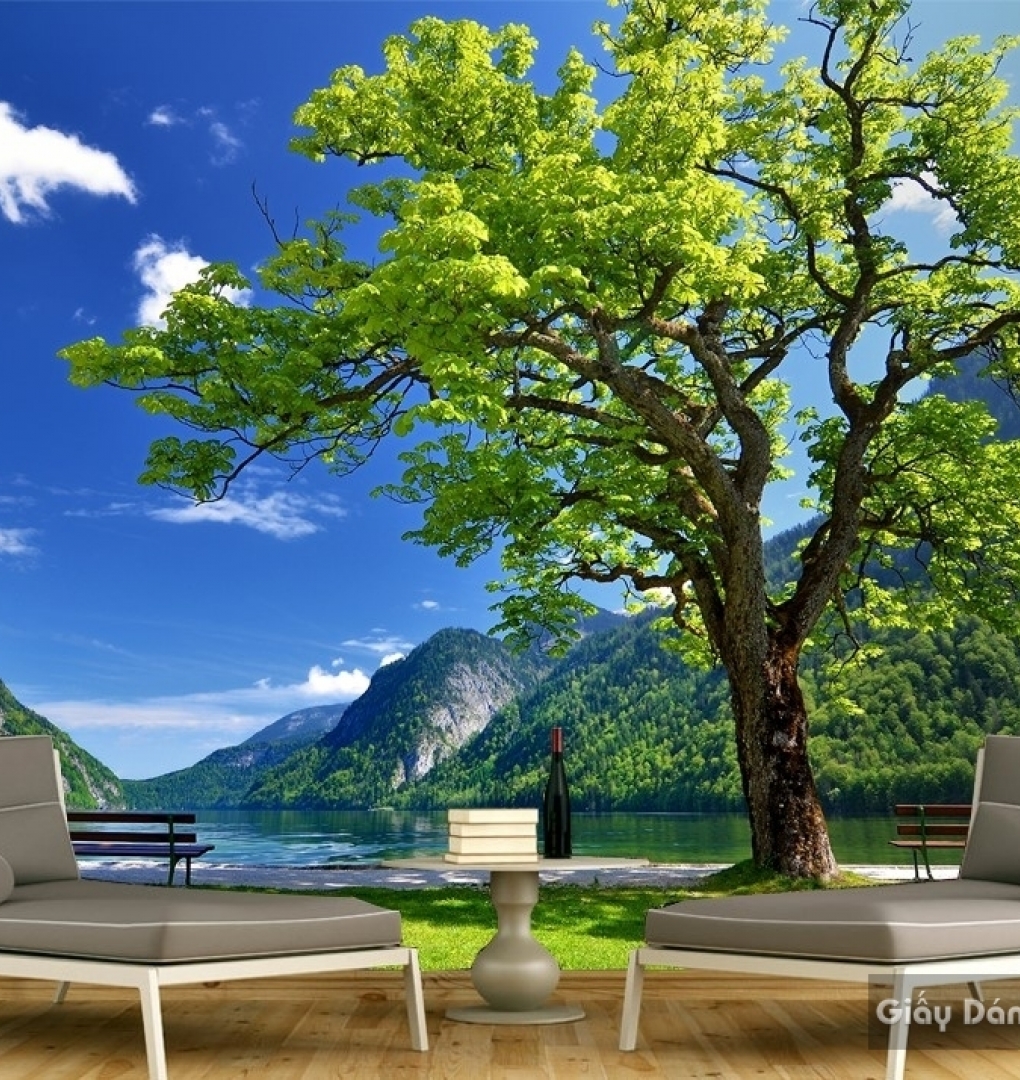 Natural wall paintings Tr041