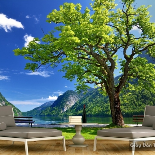 Natural wall paintings Tr041