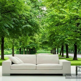 Natural wall paintings Tr044